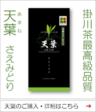 天葉さえみどり70ｇ袋バナー